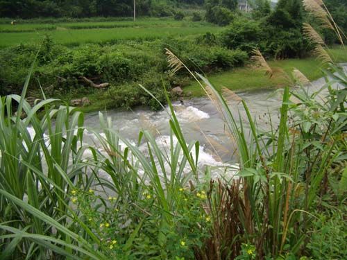 春 望 - 文学苑 - 拉斯维加斯3133cc