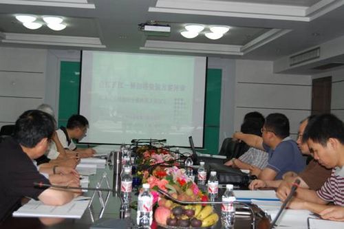 合江长江一桥扣塔装置方案顺遂通过评审 - 企业要闻 - 拉斯维加斯3133cc