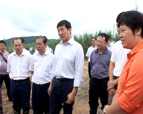 百色市市长谢泽宇到新山铝工业树模园园区路网工程项目检查指导事情 - 企业要闻 - 拉斯维加斯3133cc