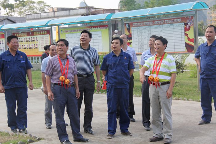 自治区交通运输厅总工程师王劼耘一行莅临靖那1标视察指导事情 - 企业要闻 - 拉斯维加斯3133cc