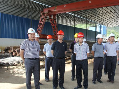 自治区交通运输厅副厅长李小林莅临靖那1标检查指导事情 - 企业要闻 - 拉斯维加斯3133cc