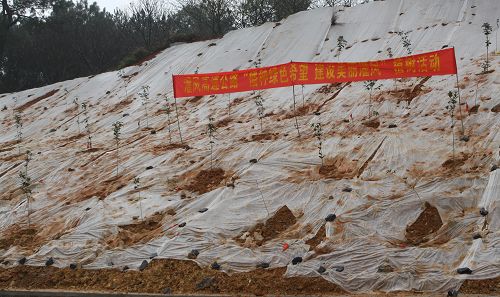 灌凤1标组织开展植树环保唬；疃 - 企业要闻 - 拉斯维加斯3133cc