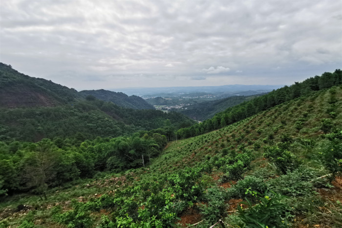 拉斯维加斯3133cc(中国集团)有限公司官网