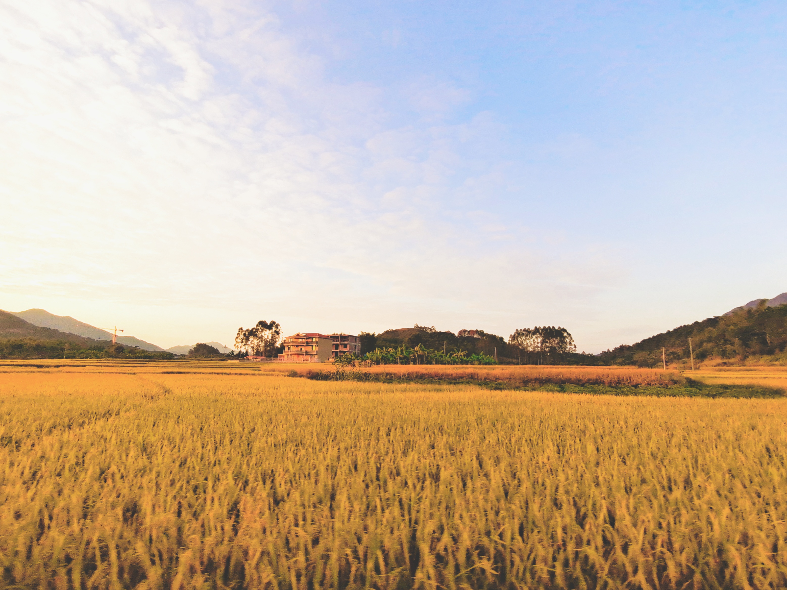 拉斯维加斯3133cc(中国集团)有限公司官网