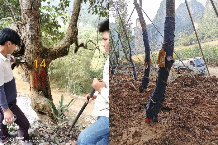 拉斯维加斯3133cc(中国集团)有限公司官网