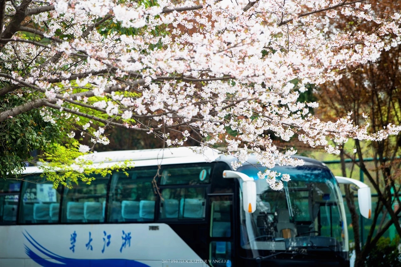 拉斯维加斯3133cc(中国集团)有限公司官网