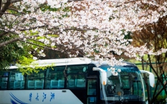 文学苑 - 拉斯维加斯3133cc