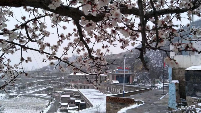 拉斯维加斯3133cc(中国集团)有限公司官网