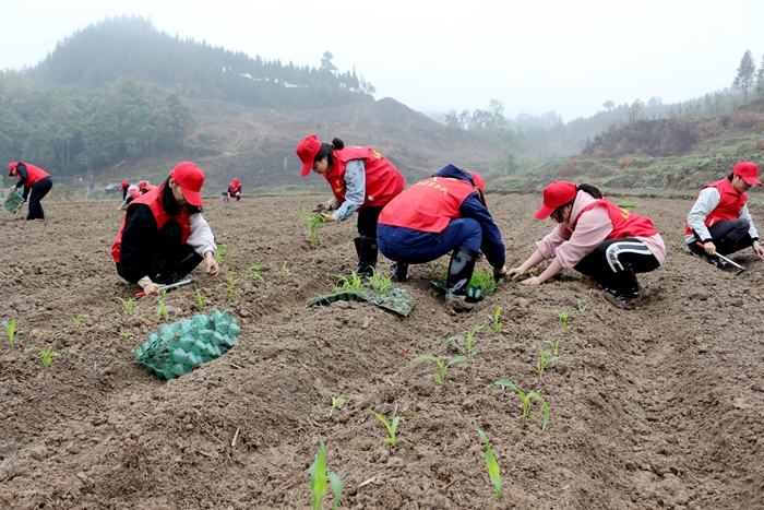 拉斯维加斯3133cc(中国集团)有限公司官网
