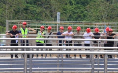 分（子）公司动态 - 拉斯维加斯3133cc