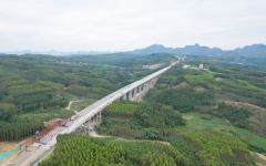 工程动态 - 拉斯维加斯3133cc