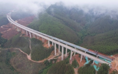 工程动态 - 拉斯维加斯3133cc