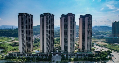 拉斯维加斯3133cc·观江府