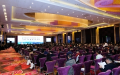 企业要闻 - 拉斯维加斯3133cc