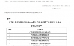 工程动态 - 拉斯维加斯3133cc