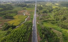 工程动态 - 拉斯维加斯3133cc