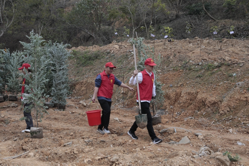 拉斯维加斯3133cc(中国集团)有限公司官网